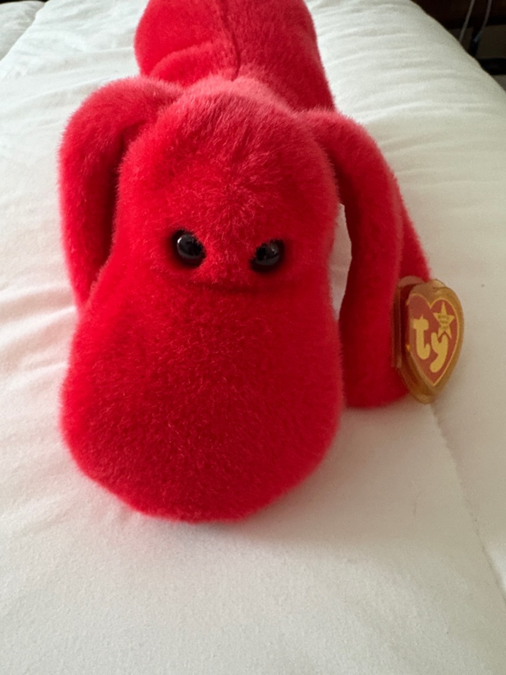 Rare Ty Beanie Baby (Rover the Dog) Bright Red Plush Dog with Heart Tag